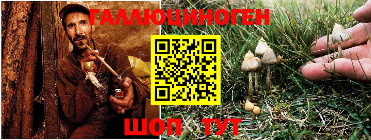 Галлюциногенные грибы Psilocybe  где найти наркотики  Рузаевка  Вход с VPN 